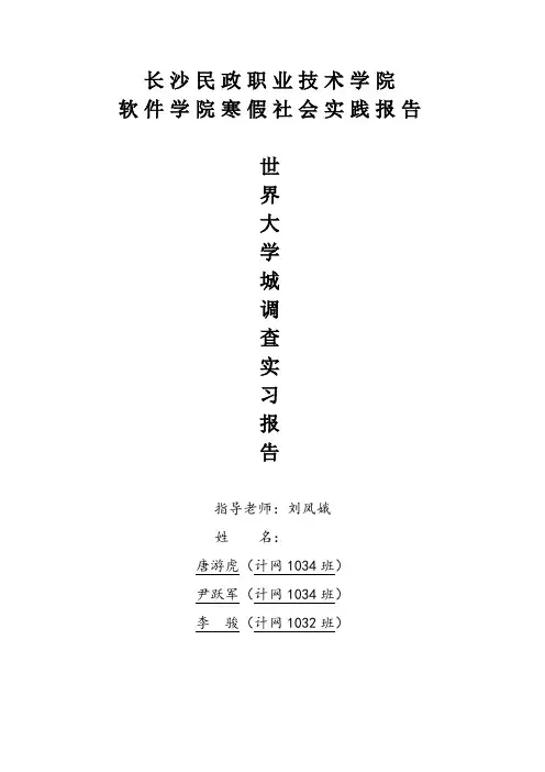 2012软件学院寒假社会实践报告