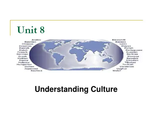 跨文化交际Unit 8(大二英语)