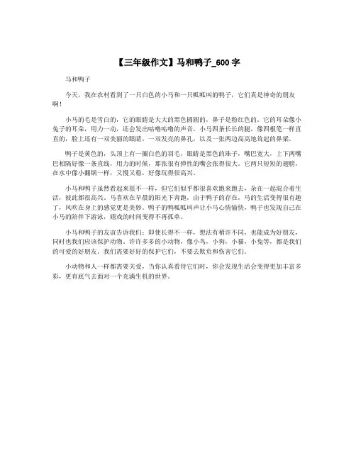 【三年级作文】马和鸭子_600字