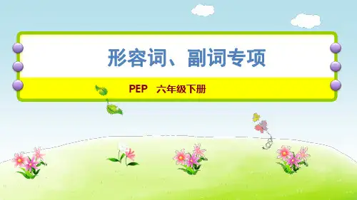 (人教PEP版)六年级下册英语课件-语法 形容词、副词专项 