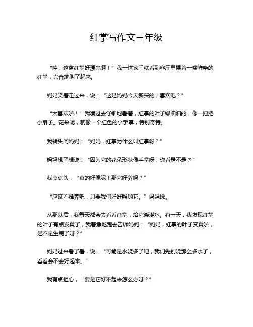 红掌写作文三年级