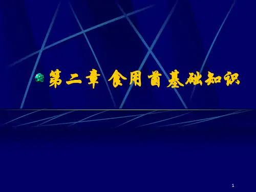 《食用菌基础知识》PPT课件