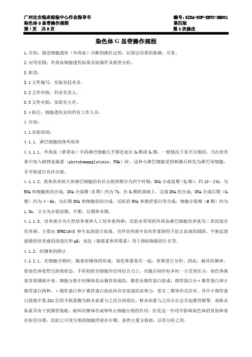 染色体G显带操作规程