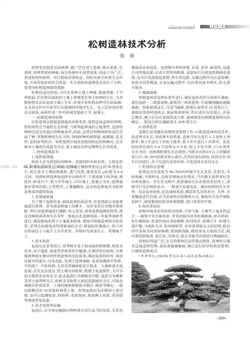 松树造林技术分析