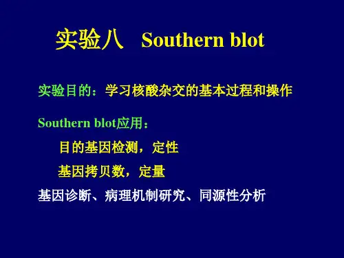 Southern blot