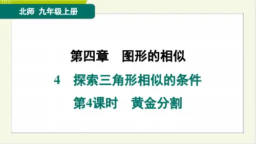 2024年北师大版九年级上册数学第四章图形的相似第4节探索三角形相似的条件第4课时黄金分割