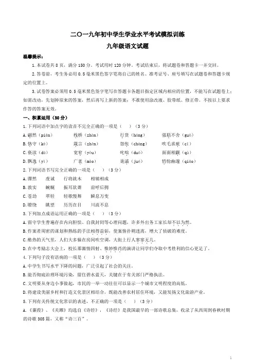 山东省滨州市2019届九年级下学期初中学业水平模拟训练语文试题