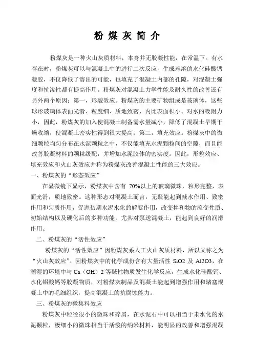 粉 煤 灰 简 介