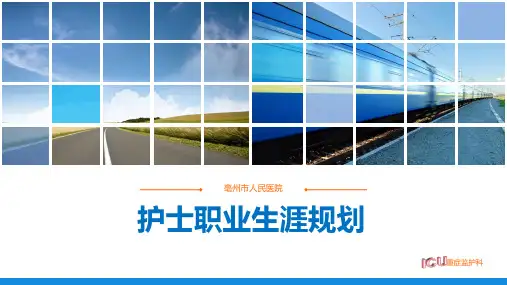 ICU护士职业生涯规划PPT课件