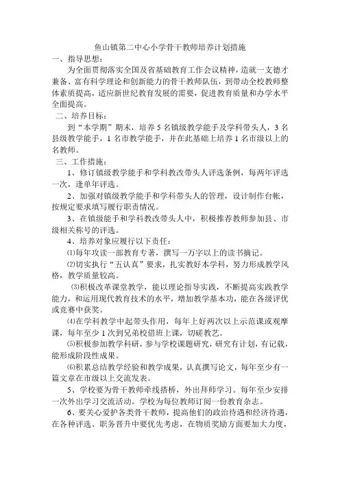 鱼山镇第二中心小学骨干教师培养计划措施