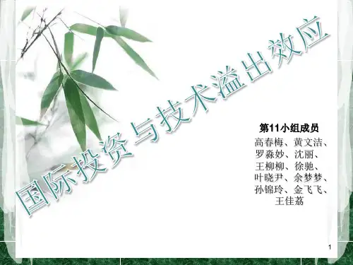 国际投资与技术溢出效应