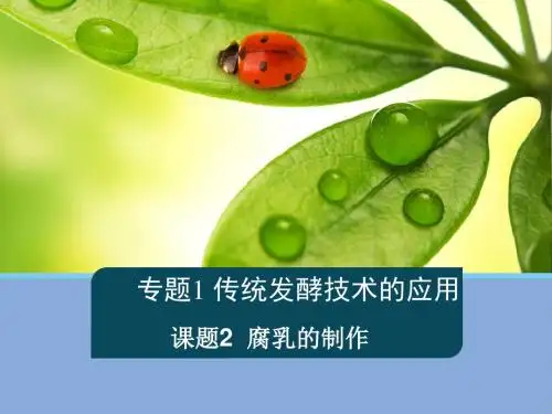 腐乳的制作