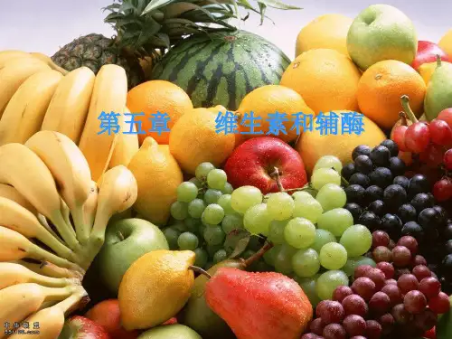 大学生化课件维生素与辅酶