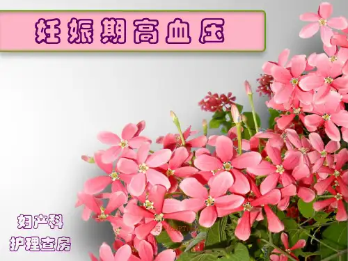 妊娠期高血压护理,护理查房,诊断及护理措施ppt课件