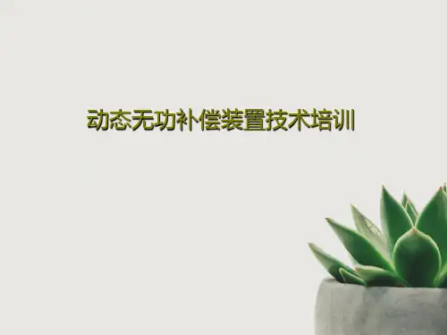 动态无功补偿装置技术培训PPT共46页