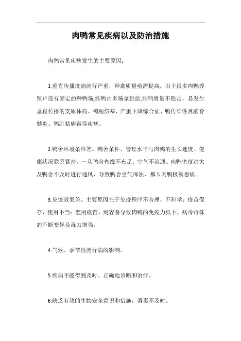 肉鸭常见疾病以及防治措施【最新版】