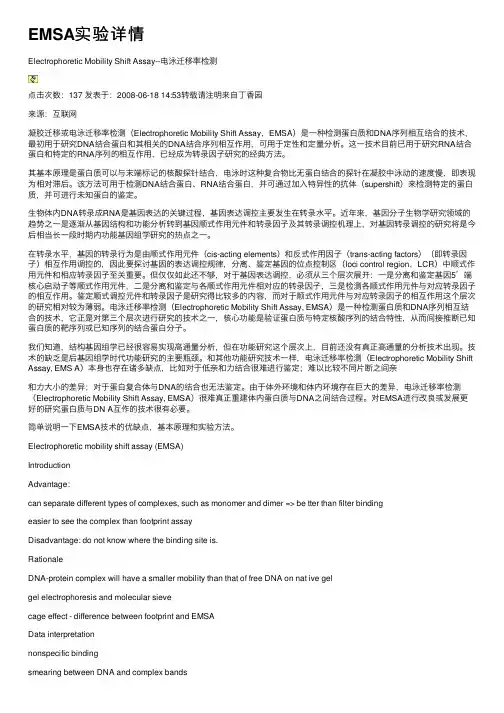 EMSA实验详情
