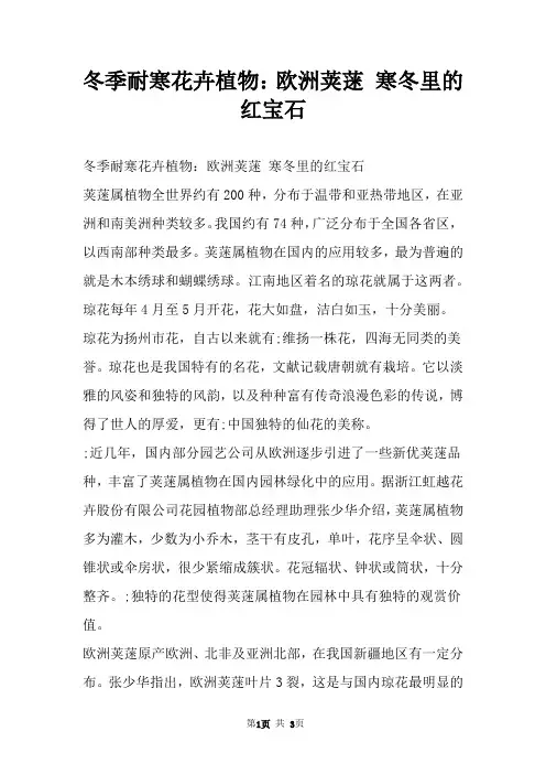 冬季耐寒花卉植物：欧洲荚蒾 寒冬里的红宝石