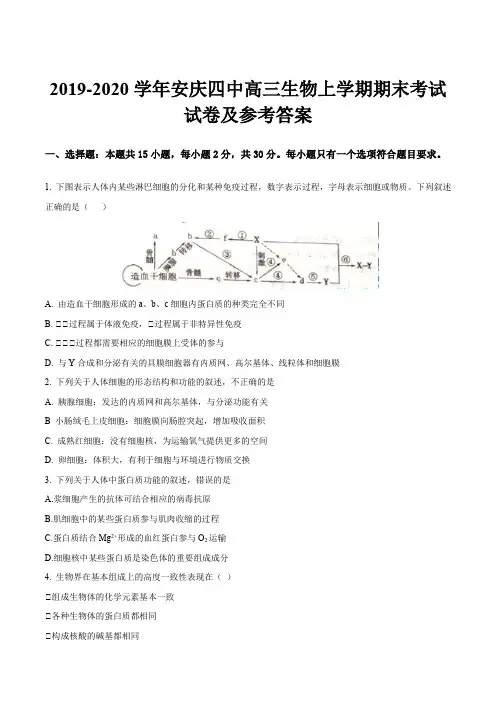 2019-2020学年安庆四中高三生物上学期期末考试试卷及参考答案