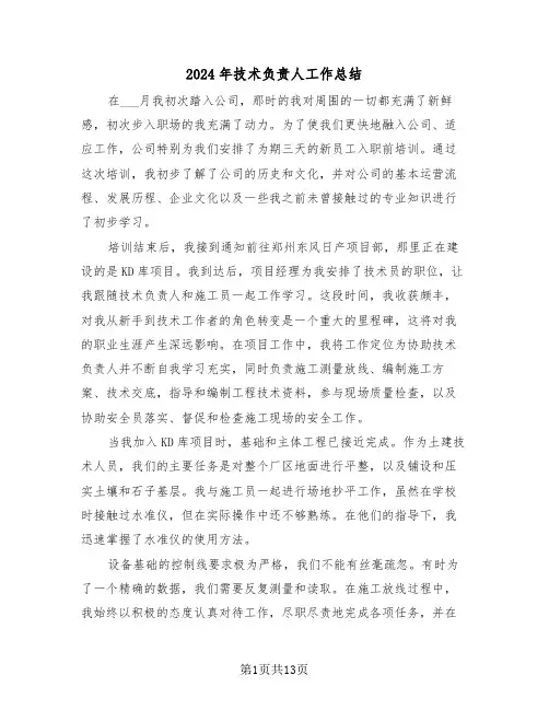 2024年技术负责人工作总结（八篇）