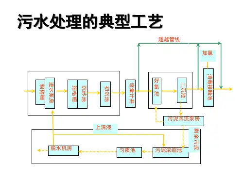精选污水处理厂常见工艺介绍