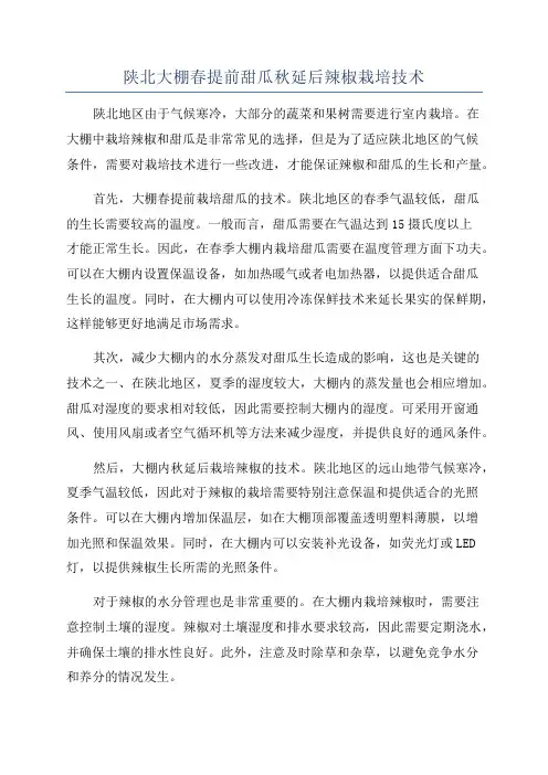 陕北大棚春提前甜瓜秋延后辣椒栽培技术