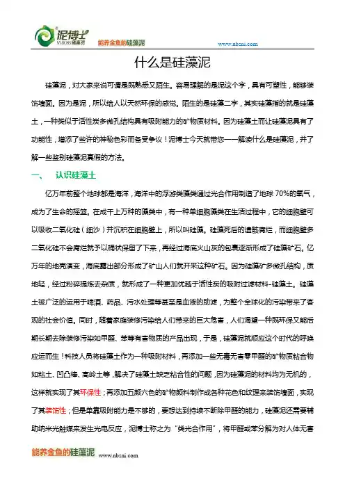 什么是硅藻泥