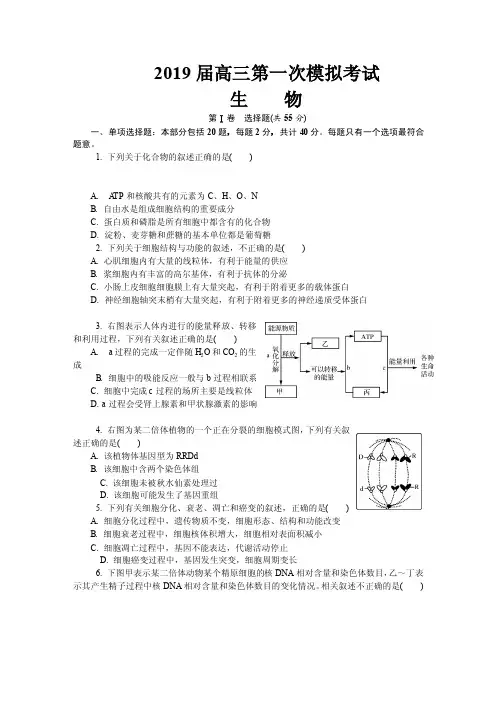 2019届江苏省扬州市高三第一次模拟考试 生物(PDF版)