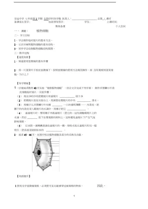 7人教版七年级上册生物第二单元第一章第二节植物细胞