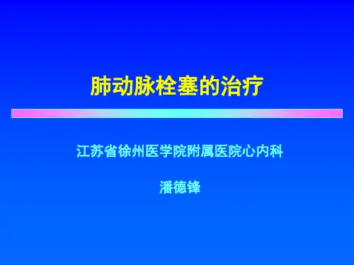 PE的治疗