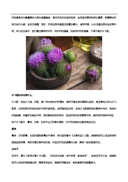 水飞蓟的功效是什么,日常调养肝脏怎么吃？