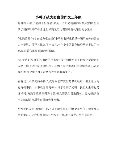 小鸭子破壳而出的作文三年级