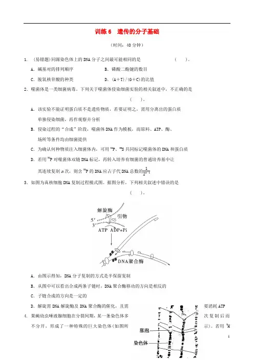 2013年高考生物二轮复习专练 专题6 遗传的分子基础 新人教版