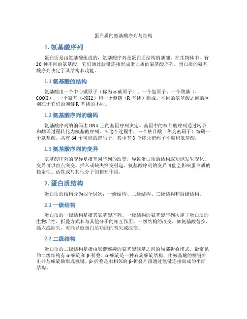 蛋白质的氨基酸序列与结构