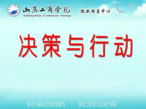决策与行动概述.pptx