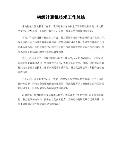 初级计算机技术工作总结