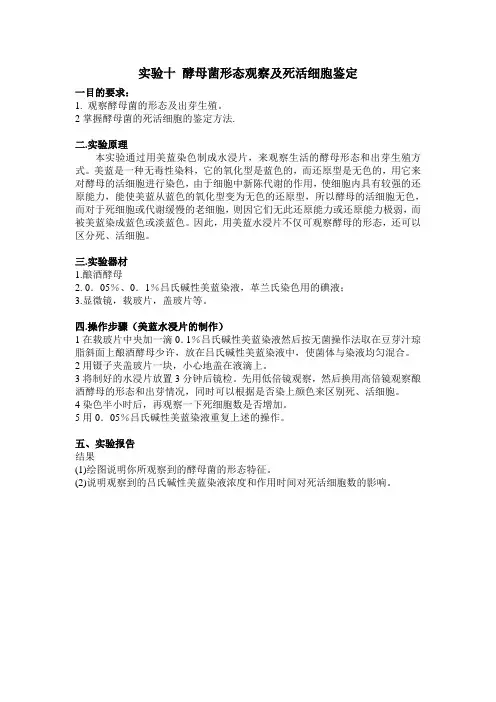 实验十 酵母菌形态观察及死活细胞鉴定