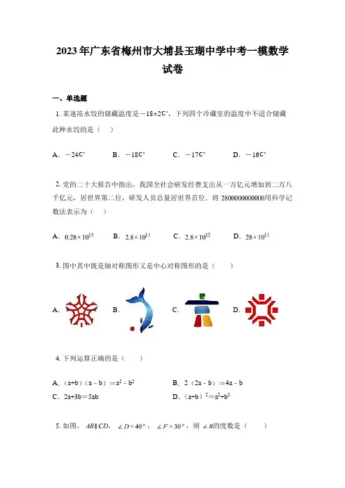 2023年广东省梅州市大埔县玉瑚中学中考一模数学试卷