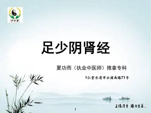 足少阴肾经(课件)