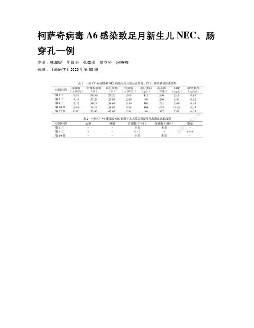 柯萨奇病毒A6感染致足月新生儿NEC、肠穿孔一例