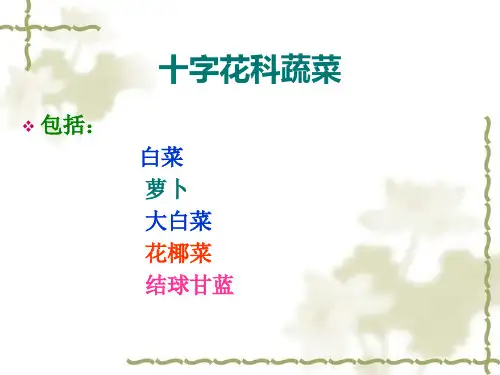 十字花科蔬菜病虫害防治