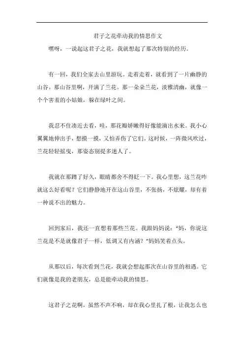 君子之花牵动我的情思作文