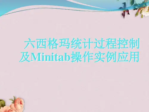 六西格玛统计过程控制及Minitab操作实例应用(PPT 页)