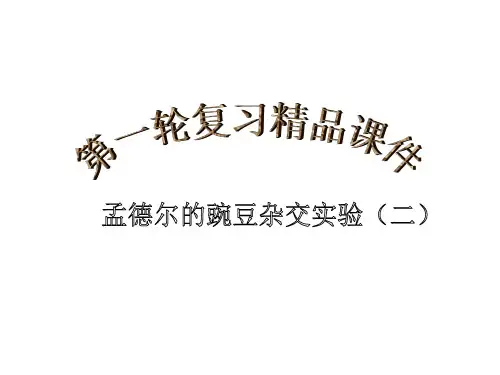 孟德尔遗传定律(一)