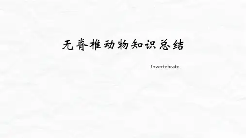 无脊椎动物知识总结