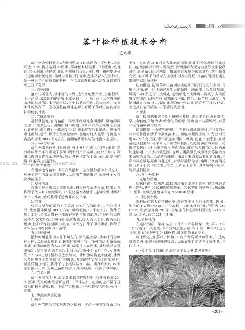 落叶松种植技术分析
