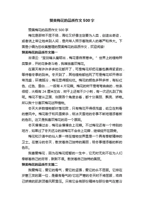 赞美梅花的品质作文500字