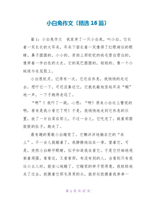 小白兔作文(精选16篇)