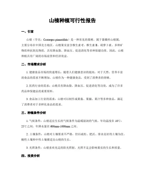 山楂种植可行性报告
