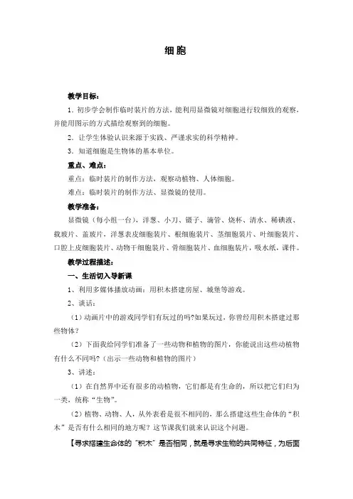 青岛版小学六年级科学下册《细胞》教学设计